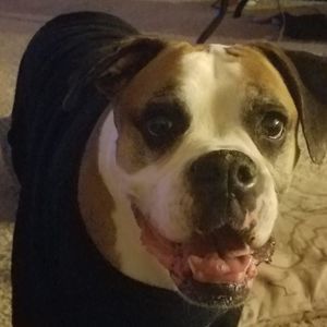 Meet your Posher, Michele